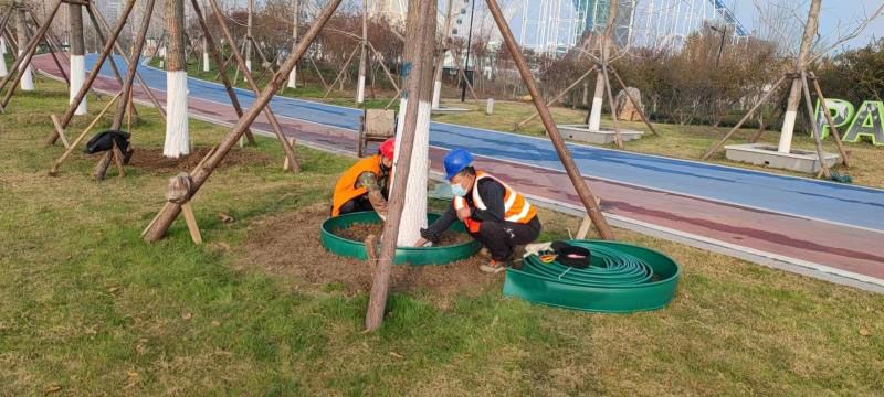 濟(jì)寧綠化項(xiàng)目